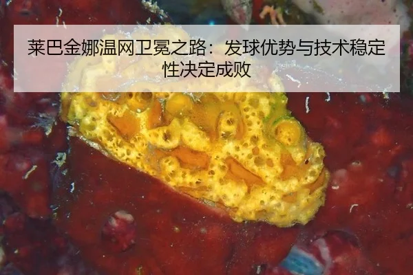 lai-ba-jin-na-wen-wang-wei-mian-zhi-lu-fa-qiu-you-shi-yu-ji-shu-wen-ding-xing-jue-ding-cheng-bai-2-444.jpg