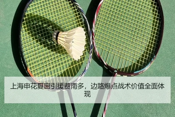 上海申花夏窗引援费南多，边路爆点战术价值全面体现